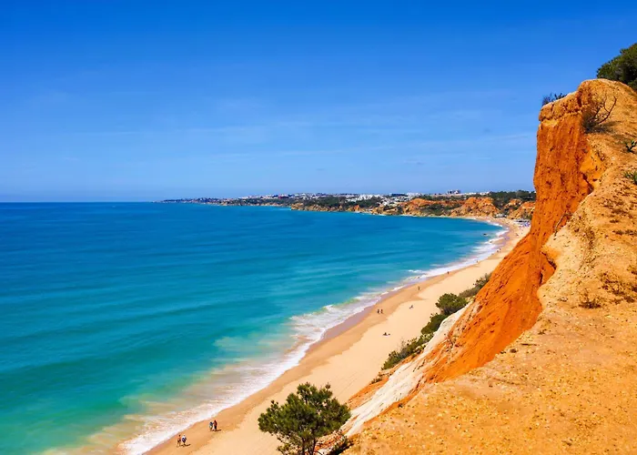 Homes Luxurious Stardust With Swimming Pool & Bbq For Family Fun 빌라 Almeijoafras